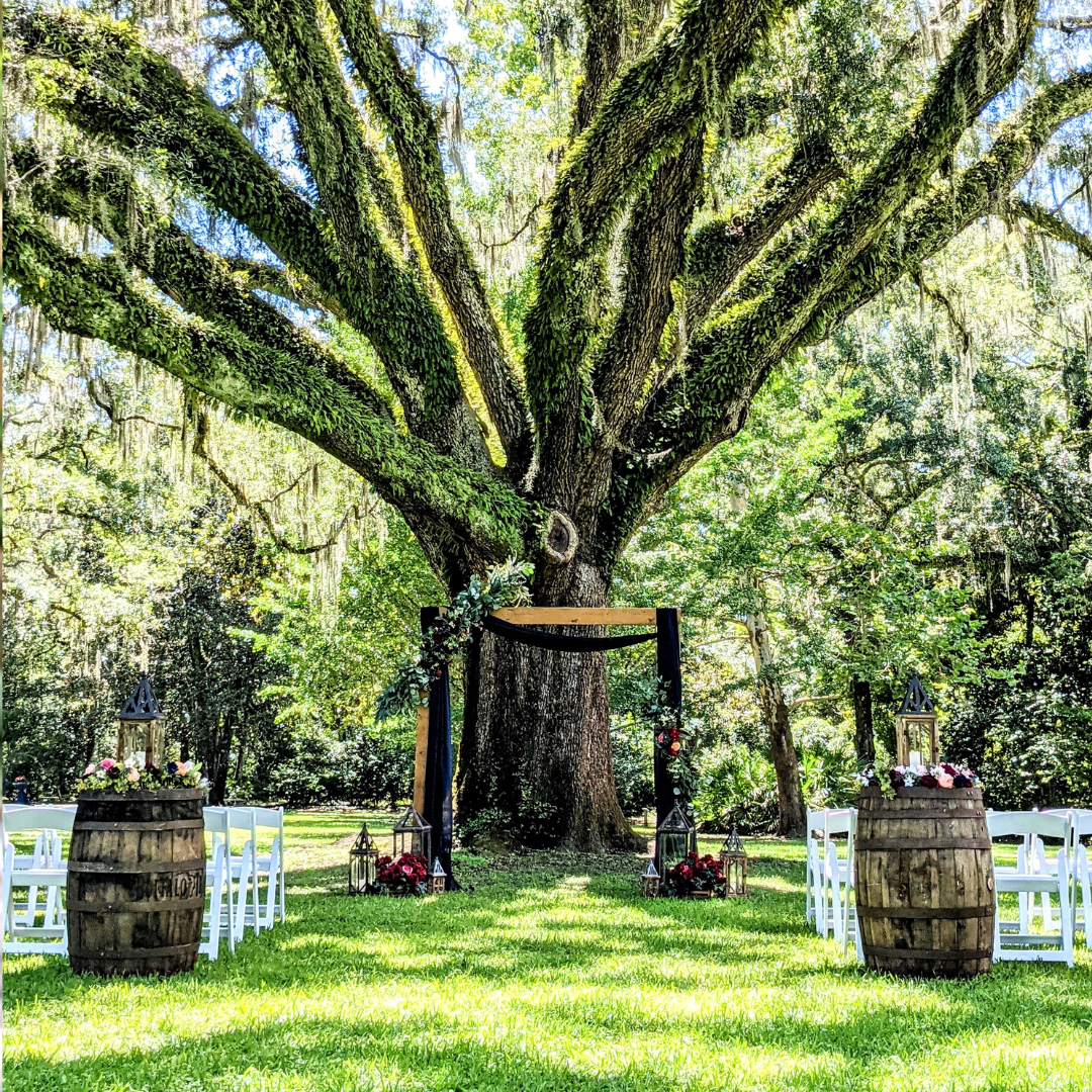 Eden Gardens Wedding Venue Wedding Planner Package wedding rentals