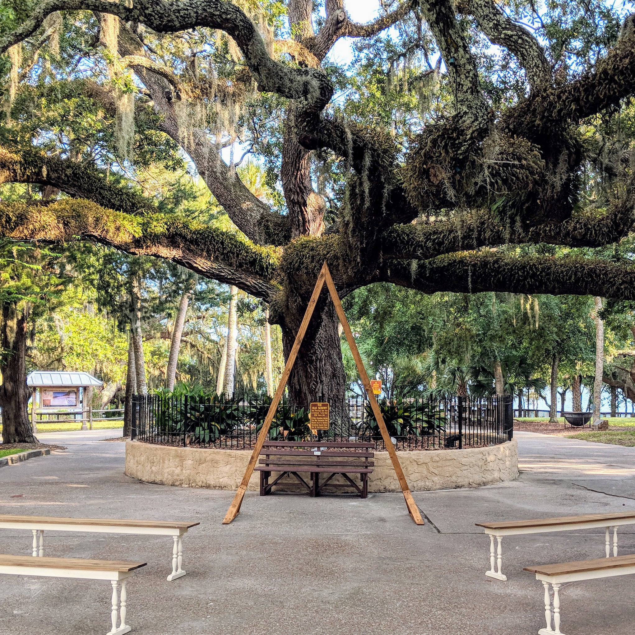 triangle  boho wedding arbor panama city beach rental