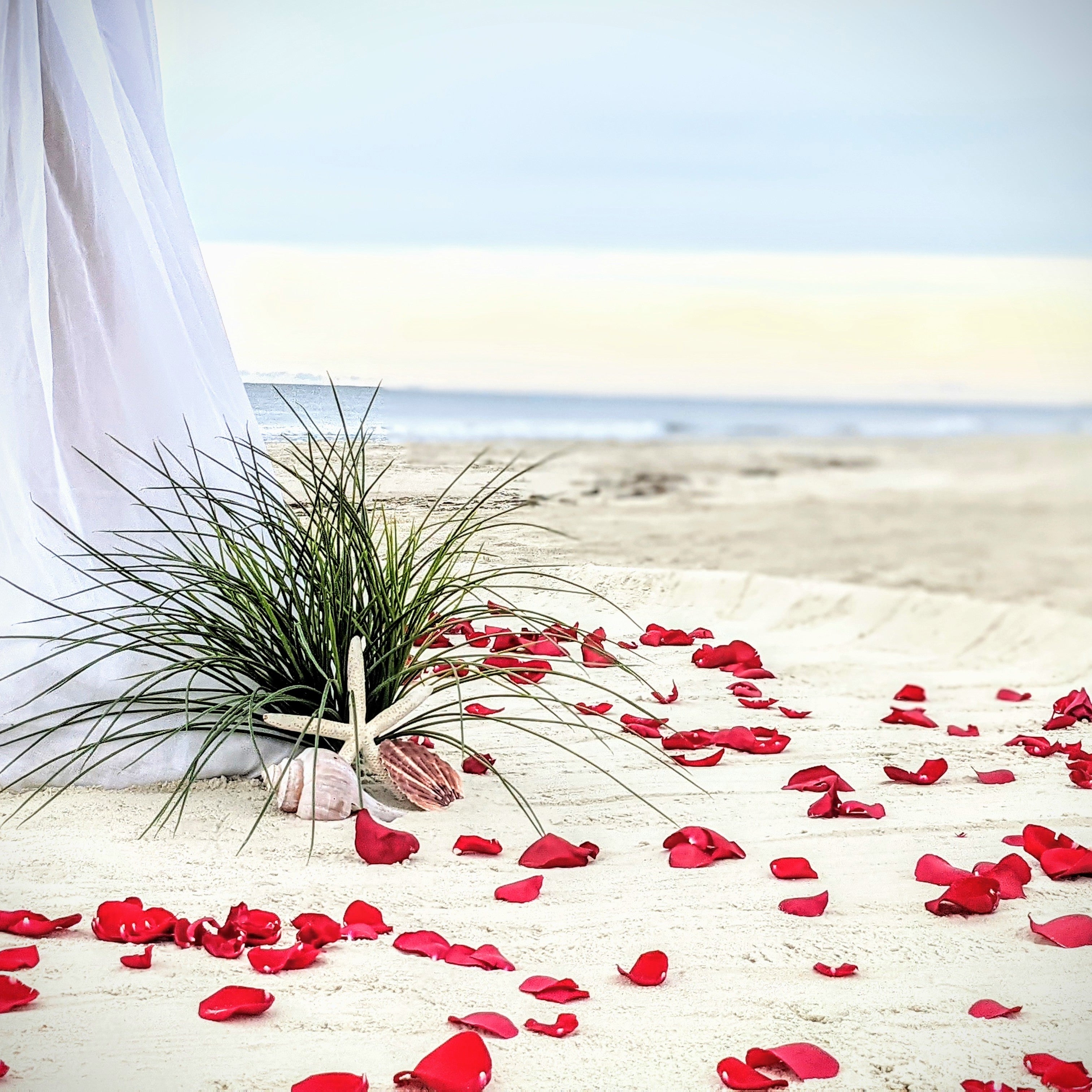 starfish and seashell aisle marker rental in panama city beach