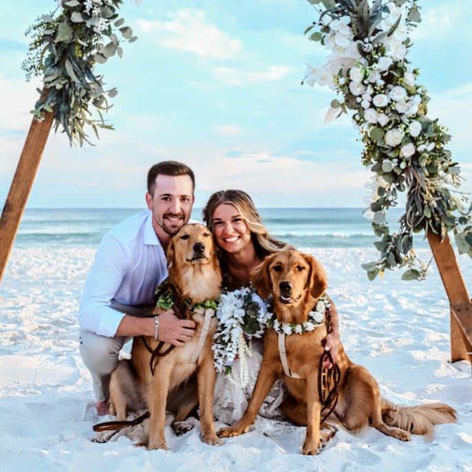 Wedding day dog pet care services in Panama City Beach