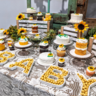 Custom Cake baker decorator in panama city beach florida for wedding cakes birthday cakes cupcake baker