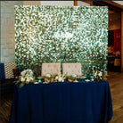 Green shimmer wall backdrop rental in panama city beach