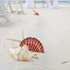 Seashell and starfish aisle marker rental in panama city beach