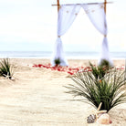starfish and seashell aisle marker rental in panama city beach