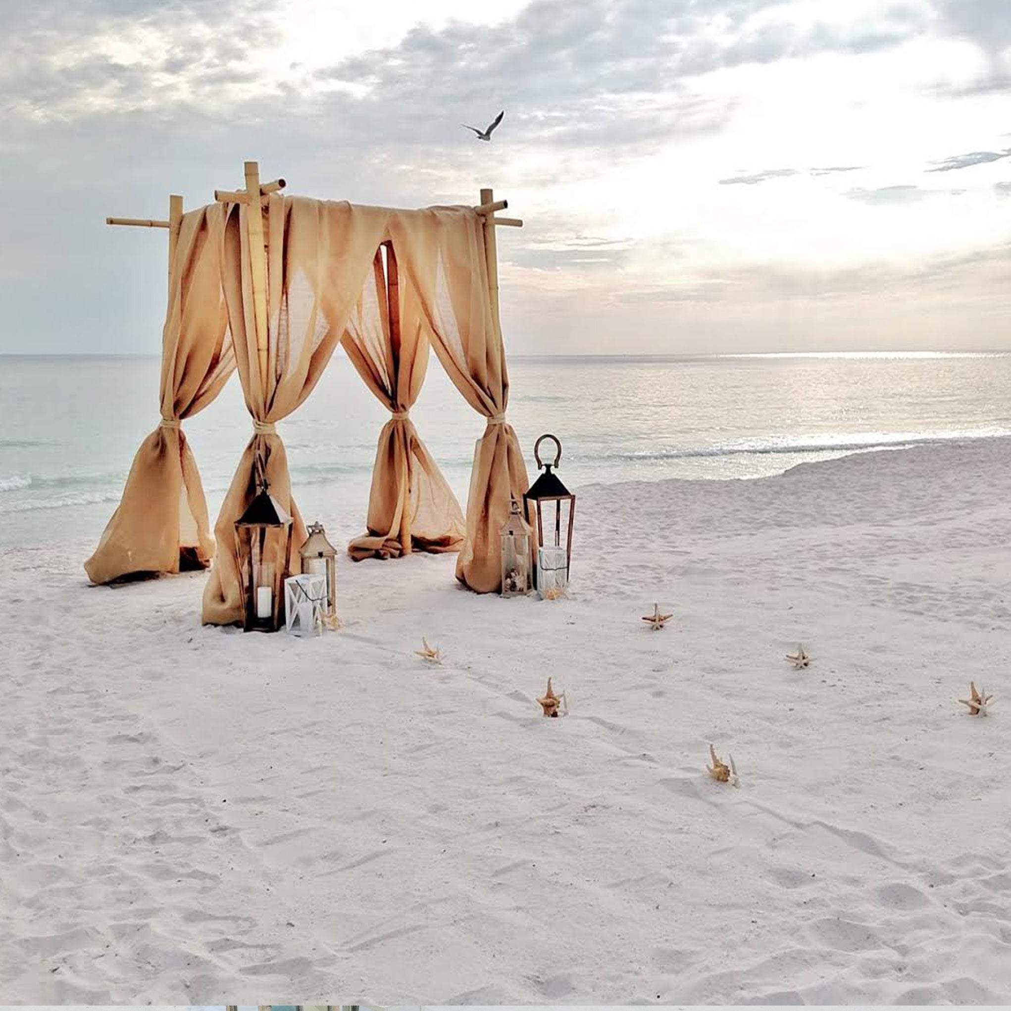 4 Post Bamboo Beach Wedding Arbor The Wedding Shop