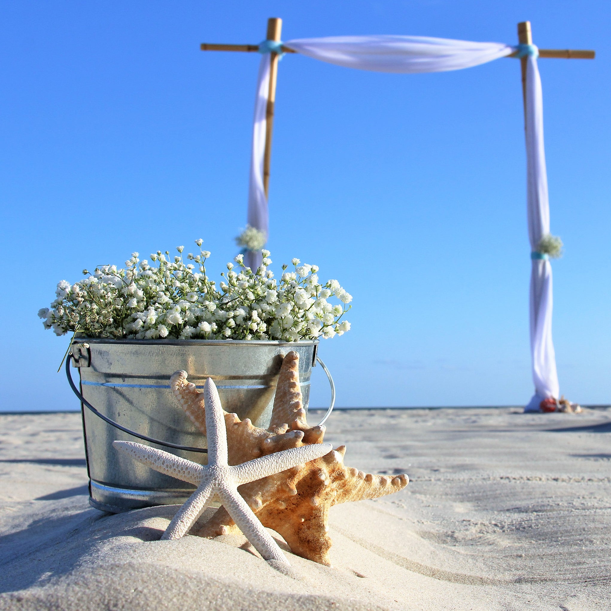 Tin Pail & Baby's Breath Flower Aisle Markers - The Wedding Shop